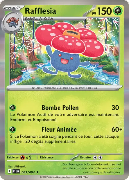 Rafflesia