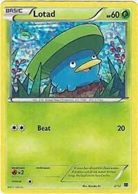 Lotad 2/12