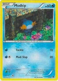Mudkip 5/12