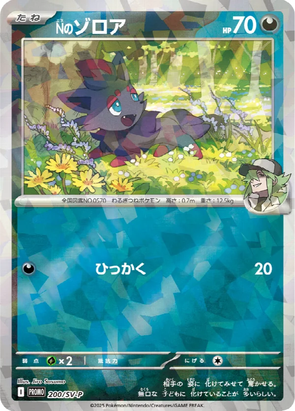 Nのゾロア 200