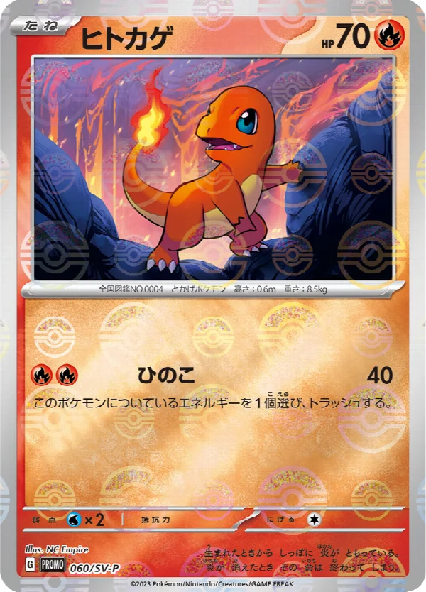 ヒトカゲ 060