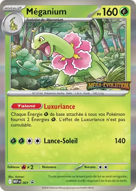 Meganium 001