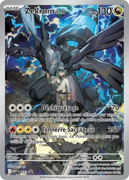 Ns Zekrom 031