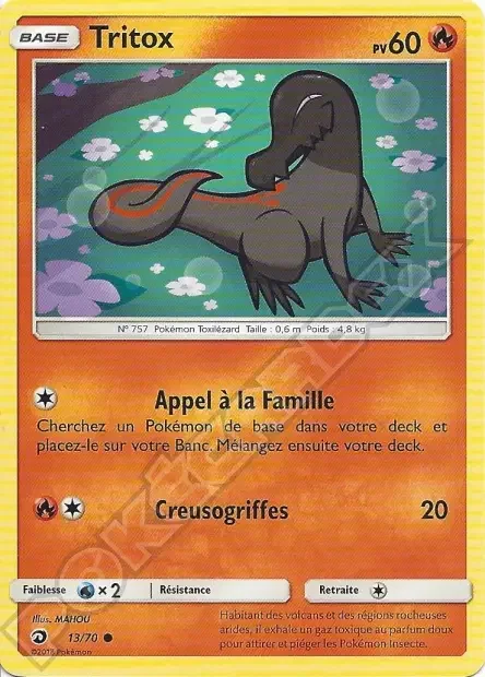 Molunk 13/70