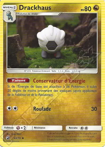 Shelgon 43/70